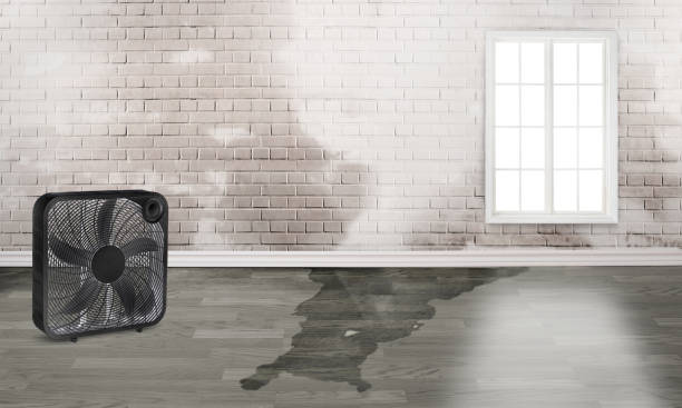 Best Emergency water damage restoration  in Bainbridge, PA
