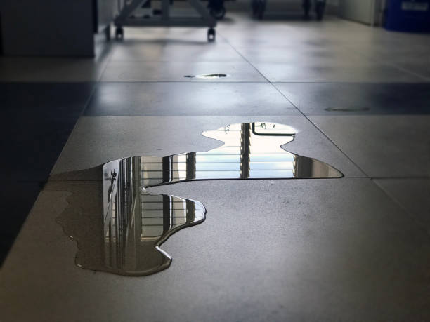 Best 24/7 water damage repair  in Bainbridge, PA