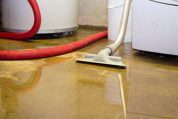 Best Residential water damage restoration  in Bainbridge, PA