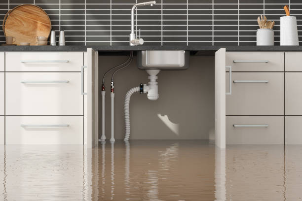 Best Water damage restoration cost  in Bainbridge, PA