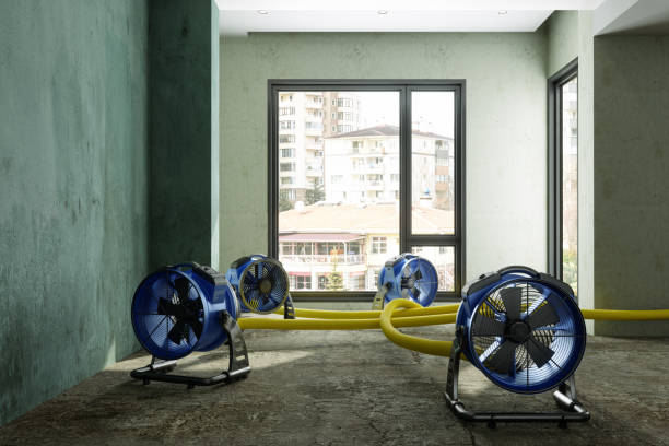 Best Commercial water damage restoration  in Bainbridge, PA